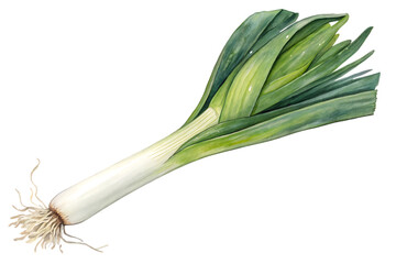 watercolor of leek food decor