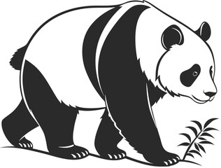 Photo realistic Black and White Panda Bear Illustration with Studio Lighting in 4K