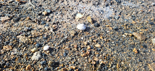 Background of wet small stones on the beach 