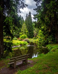 Serene forest garden scene with a tranquil pond