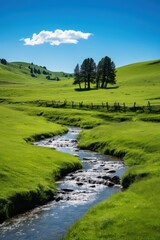 Obraz premium Verdant rolling hills embrace a clear meandering stream water rocks
