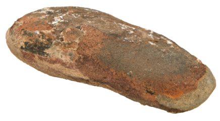 Fossil rock on transparent background