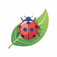Obraz premium Ladybug Resting on a Leaf A Colorful Nature Illustration for Children's Designs