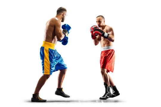 Boxers in action. Isolated in white background. Boxing. Two professional boxers participate in a boxing match.  Boxing match