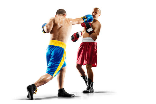 Boxing. Isolated in white background. Two professional boxers participate in a boxing match. Boxers in action. Boxing match