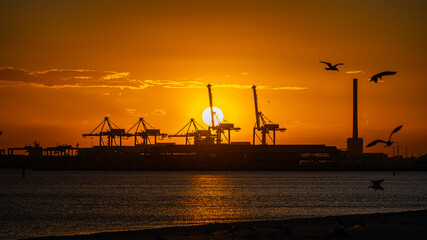 Fototapeta premium Melbourne in Sunset