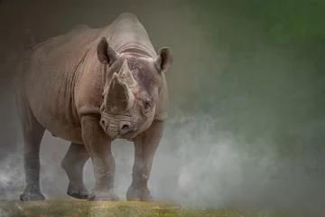 Fototapete Rund Nashorn Full body portrait of a black rhinoceros on dusty savanna with copy space  © Ralph Lear