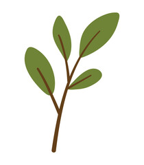Simple Green Leaf Branch Minimal Illustration on White Background