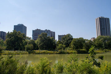 City park oasis serene lake with skyline buildings backdrop