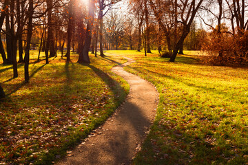 Obraz premium Autumn landscape, autumn walking path in the park