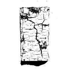 Isolated monochrome image of a rectangular piece of tree bark with a cracked and textured surface detail
