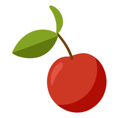 vector illustation of coffee cherry fruit