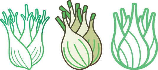  fennel bulbs in different styles, a stylized botanical illustration