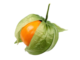 Orange physalis fruit with green husk isolated on a transparent background cape gooseberry