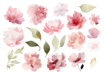 Vector watercolor set of abstract pink flowers including roses peonies asters and other blossoms in light transparent artistic style for design and decoration projects