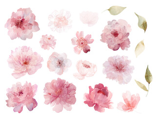 Vector watercolor set of abstract pink flowers including roses peonies asters and other blossoms in light transparent artistic style for design and decoration projects