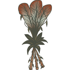 Stylized Tropical Plant with Three Large Leaves, Detailed Linework, Reddish-Brown and Green Hues