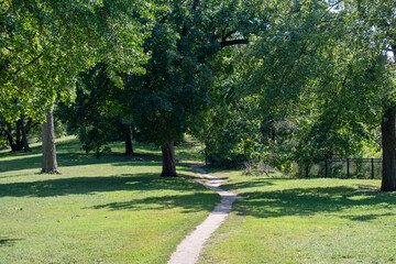 Peaceful park path winding through lush green trees