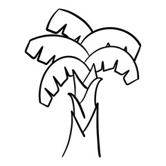 Banana Tree Tropical Plant Black White Outline Vector Illustration