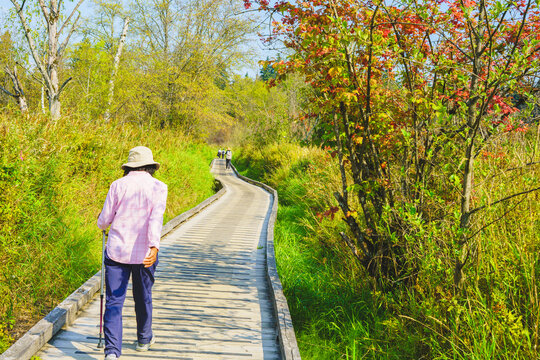 Senior enjoying a healthy stroll on the boardwalk at Deer Lake Park, Burnaby, BC, Canada on a sunny late summer day.