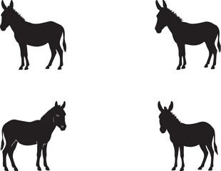 donkey silhouette on white background