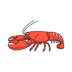 Cartoon illustration of a red lobster a detailed, vector graphic on a white background