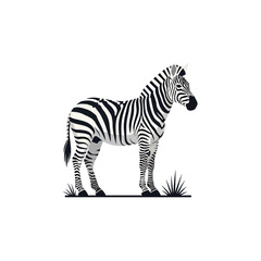 Illustration of a zebra with black and white stripes standing in grass
