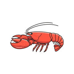 Isolated vector illustration of a cooked red lobster. A marine crustacean with large pincers, perfect for seafood restaurant menus and ocean life designs