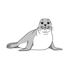 Adorable cartoon seal illustration on a white background, perfect for educational and animal-themed content