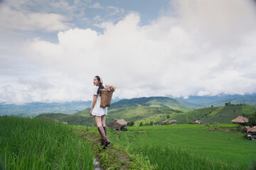Asian tourists wearing white dresses and carrying baskets of flowers on rice terraces in Chiang...