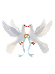 Obraz premium Two transparent background. white doves holding a gold ring and a light blue ribbon in their beaks on a black background isolated on a transparent background