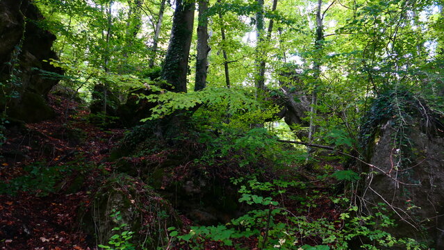 Felsformationen im Wienerwald, Gainfarn
