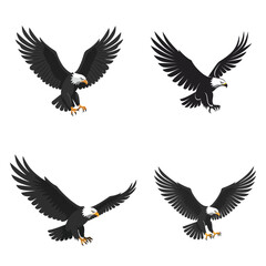 Four illustrations of bald eagles in flight, showcasing their majestic wingspans and predatory focus.
