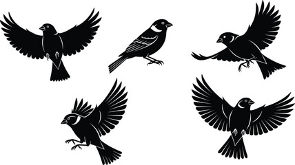 Flying bird silhouettes vector illustration of wild birds in flight wings spread perched landing detailed feather design nature wildlife art