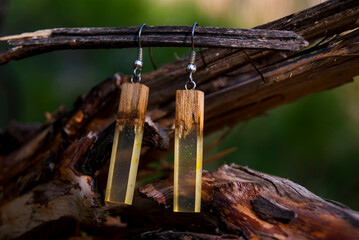dragonfly sitting on a wooden fence