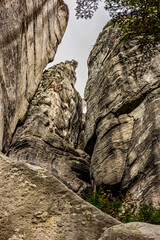 High cliffs soaring skyward in brownish-gray tones. The stunning texture and beauty of wild rock. Teplice Rocks, Czech Republic.