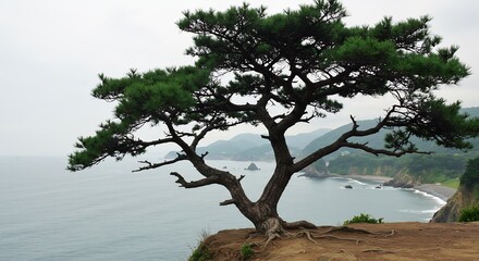Majestic coastal pine tree dramatically silhouetted against a softly diffused overcast sky.. AI Generated