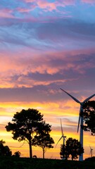 Silhouetted trees and wind turbines at sunset