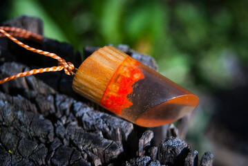 close up of a small fish