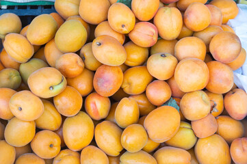 Apricots on the grocery store counter.