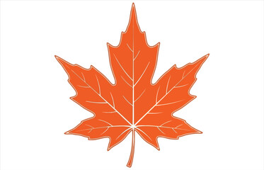 Vector art of orange maple leaf in hand drawn style autumn leaf of maple tree fall foliage nature and plant concept decorative element for design and decoration