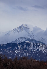 snow covered mountains