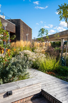 Modern sustainable park in Stockholm with green vegetation, wooden decks and planted areas, contemporary Scandinavian design combining relaxation, community leisure and urban planning