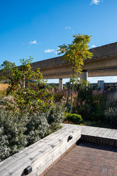 Wooden benches and planted areas in Stockholm sustainable park, integration of greenery with modern urban architecture, promoting leisure, relaxation and environmental wellbeing