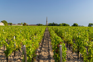 Lush vineyard rows leading to Saint Julien Beychevelle church in Nouvelle Aquitaine, France