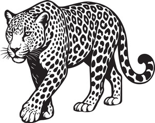 Black and White Leopard Illustration – Hand Drawn Wild Animal Vector Art