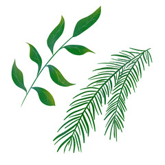 Branch with green leaves, evergreen spruce branch. Isolated illustration hand drawn set. For Christmas and New Year presents, holiday decoration, sticker packs banner, greeting cards and clip art