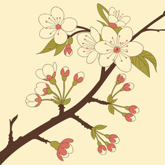 Cherry blossom tree branch vector illustration in spring season