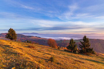 Typical landscape in National park Polana mountains, Slovakia © Richard Semik