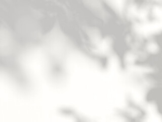 Soft Light and Shadow Overlay